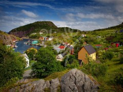 Quidi Vidi